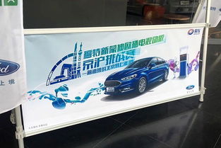 2025年禁燃油車之后 汽車廠商將變成什么樣