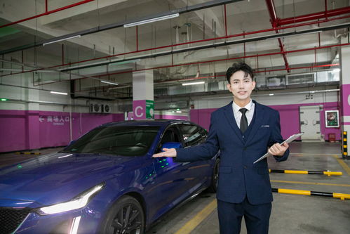 商務車豪車汽車銷售汽車顧問車險人物攝影圖 攝影