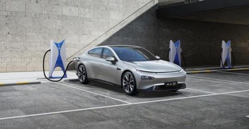 2021廣州人愛開什么車 奪冠的竟是一輛電動車
