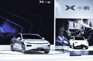 敢說model3價(jià)格沒競爭力,何小鵬有底氣,小鵬g3月銷量領(lǐng)跑新勢力