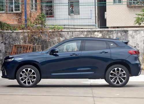 買車執(zhí)意要選wey vv7,車主說了心里話