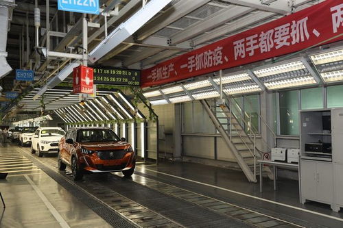 幫中國汽車說話,唐唯實(shí)有這么好心