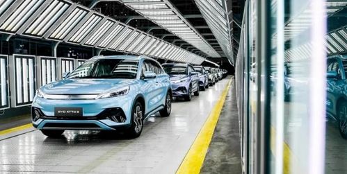 汽車行業年度觀察丨新能源汽車百花齊放 產銷量再創新高