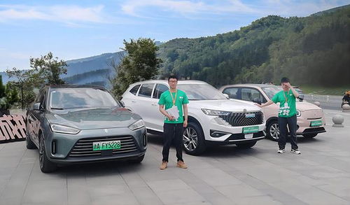 安步汽車集團 傳統汽車銷售模式陷入生存疑云,如何面對